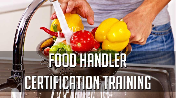 Food Handler